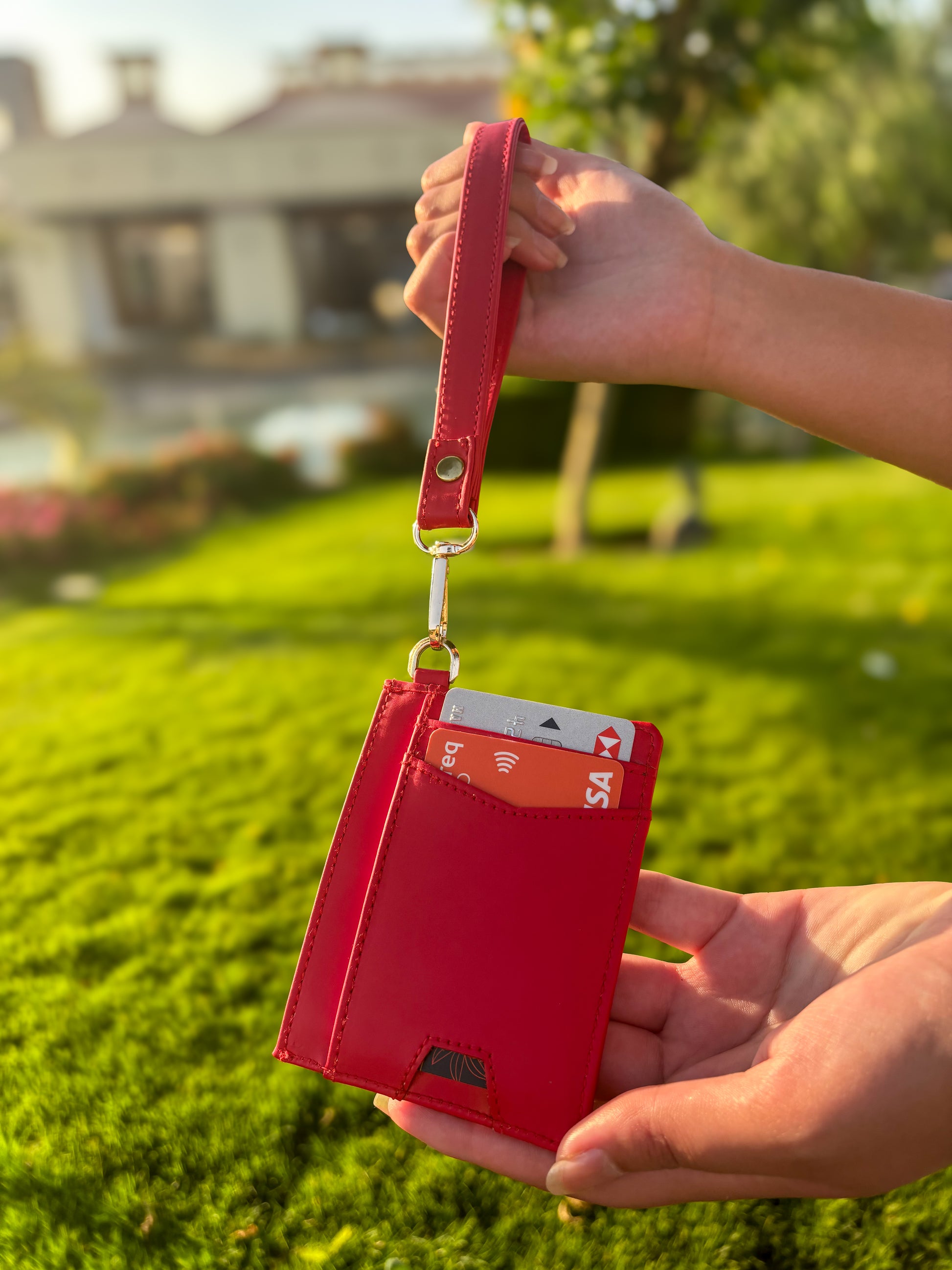 Red Cardlet