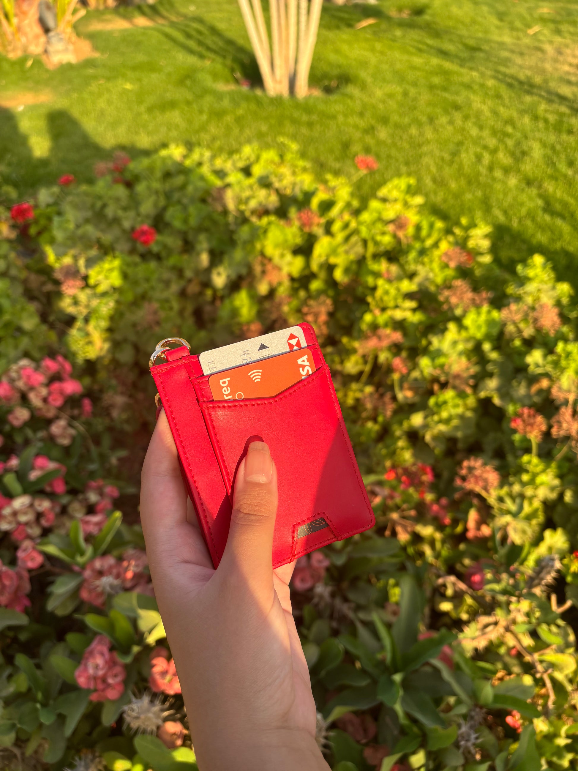 Red Cardlet